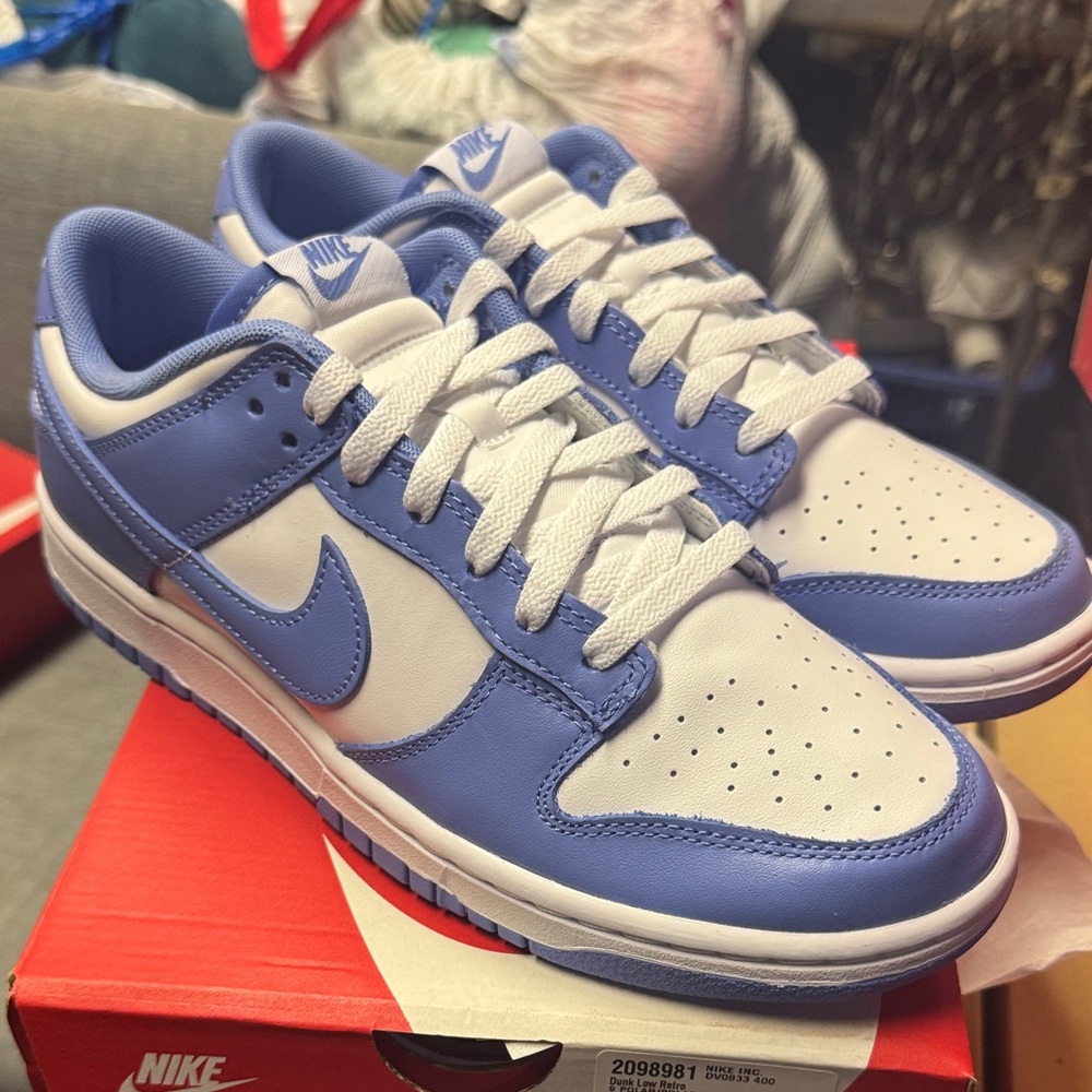 Nike dunk low polar blue